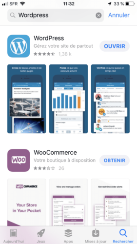 WordPress App Store